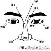 鼻頭下垂面相|「面相」看鼻相知命運